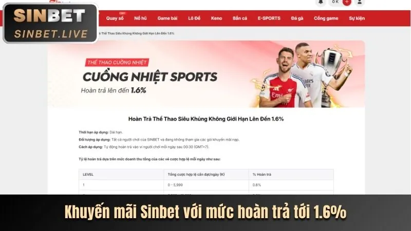 Chương trình VIP Win96